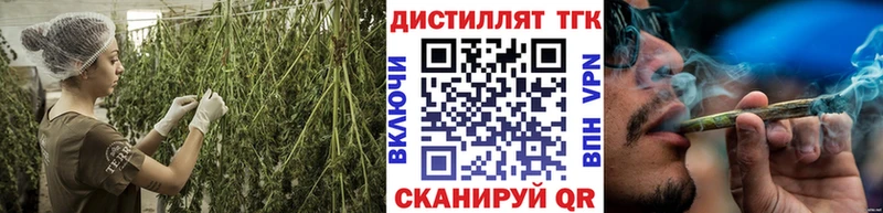 МЕГА как войти  где купить наркоту  Алатырь  ТГК концентрат 