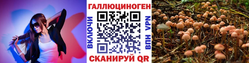 купить наркоту  Алатырь  Галлюциногенные грибы Cubensis 